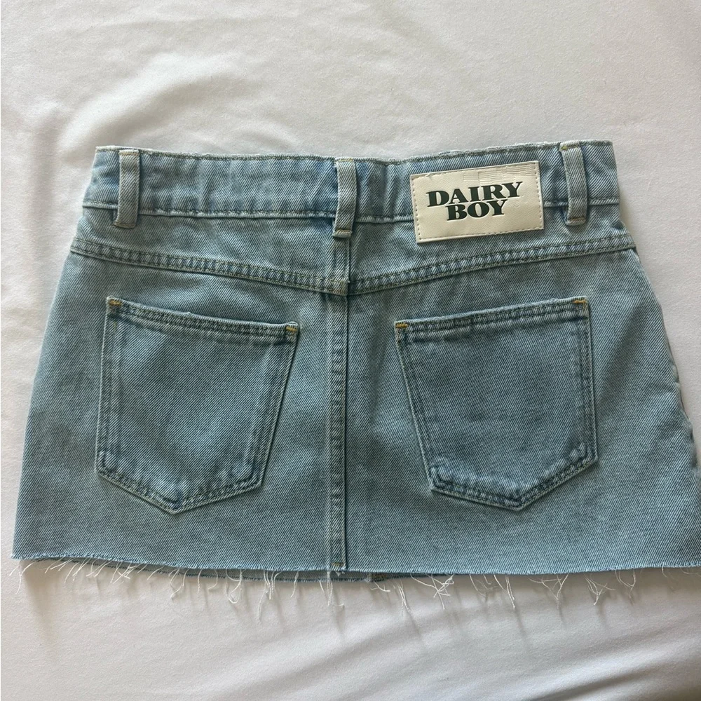 DAIRY BOY NWT Micro Mini Skirt 
SIZE 25 
Super trendy perfect condition! - Picture 2 of 2